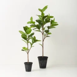 39" Faux Audrey Ficus Tree - Hearth & Hand™ With Magnolia -Hearth & Hand With Magnolia GUEST 6bdb55b7 edab 4ef8 b36c 9477800cad3b