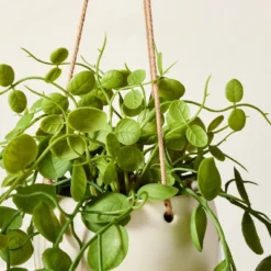 31" Faux Button Fern Hanging Plant - Hearth & Hand™ With Magnolia 3 31" Faux Button Fern Hanging Plant - Hearth & Hand™ With Magnolia -Hearth & Hand With Magnolia GUEST a038b521 4b8c 4c09 be4b b801ccd0a0e4