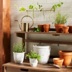 Featured Products 19 9pc Steel & Glass Plant Propagation Set Gold/Clear - Hearth & Handâ„¢ With Magnolia